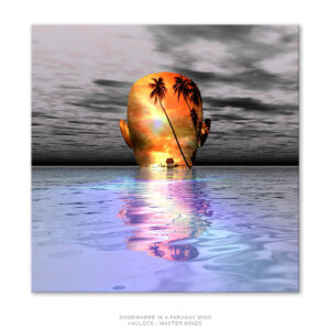 Somewhere in a Faraway Mind - Original - Joey Havlock Master Minds series